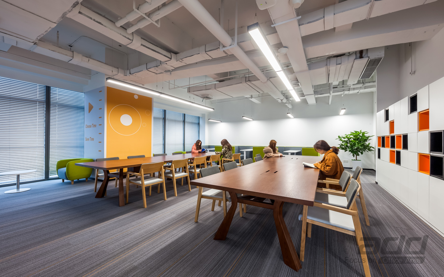 1564997603375518.jpg 13.jpg