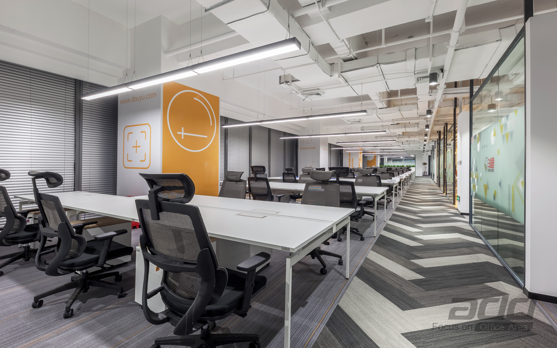 1564997615639585.jpg 47.jpg